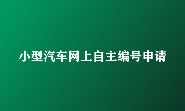 小型汽车网上自主编号申请