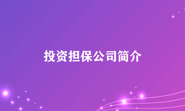 投资担保公司简介