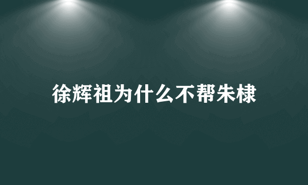 徐辉祖为什么不帮朱棣