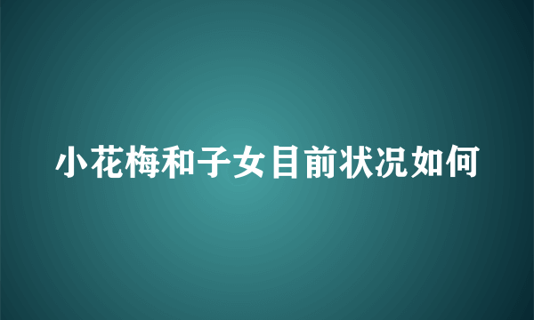 小花梅和子女目前状况如何