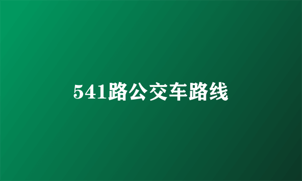 541路公交车路线