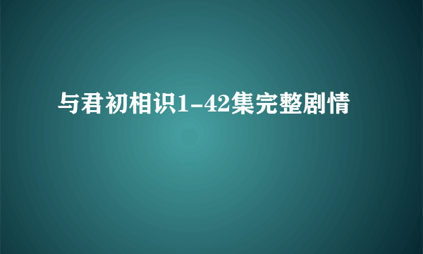 与君初相识1-42集完整剧情