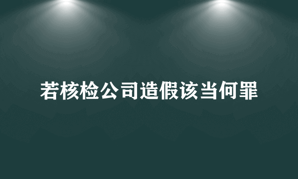 若核检公司造假该当何罪