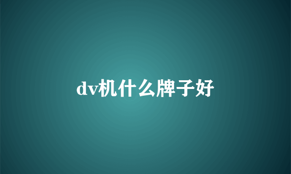 dv机什么牌子好