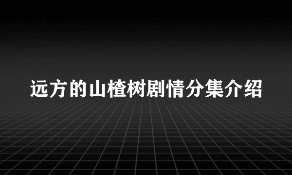 远方的山楂树剧情分集介绍