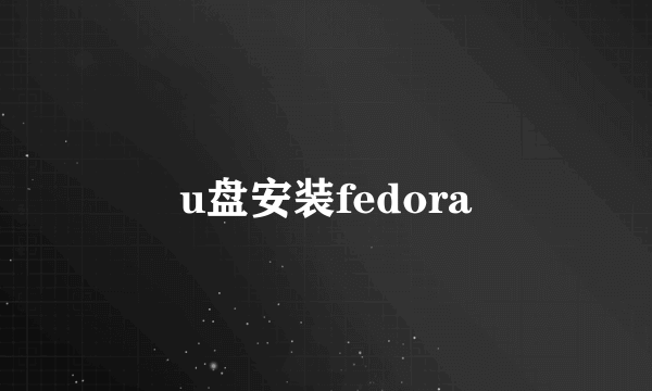 u盘安装fedora