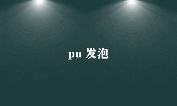 pu 发泡