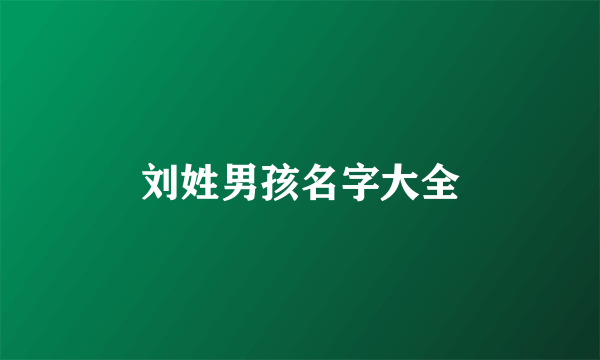 刘姓男孩名字大全