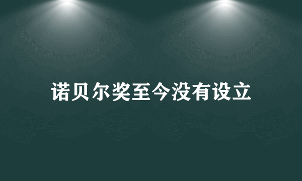 诺贝尔奖至今没有设立