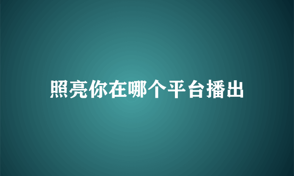 照亮你在哪个平台播出