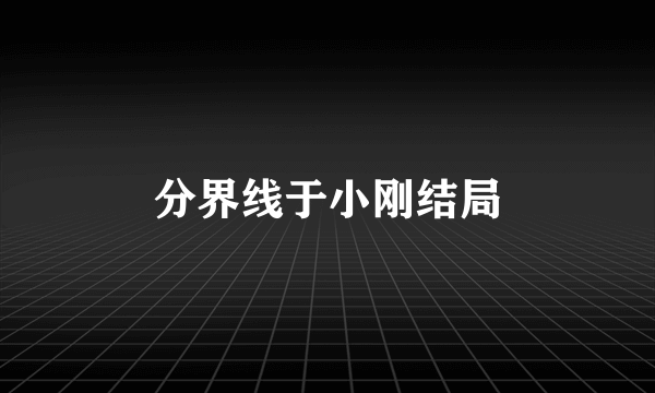 分界线于小刚结局