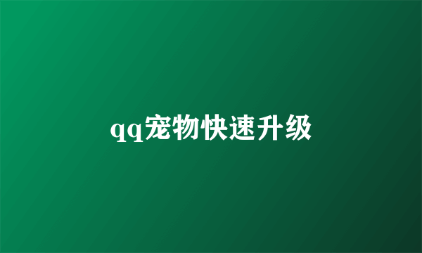 qq宠物快速升级