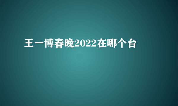 王一博春晚2022在哪个台