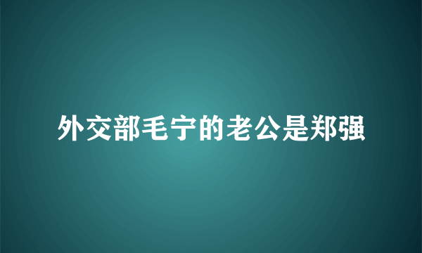 外交部毛宁的老公是郑强