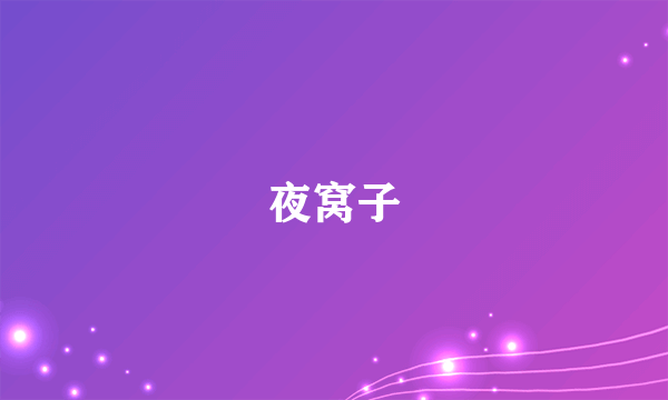 夜窝子