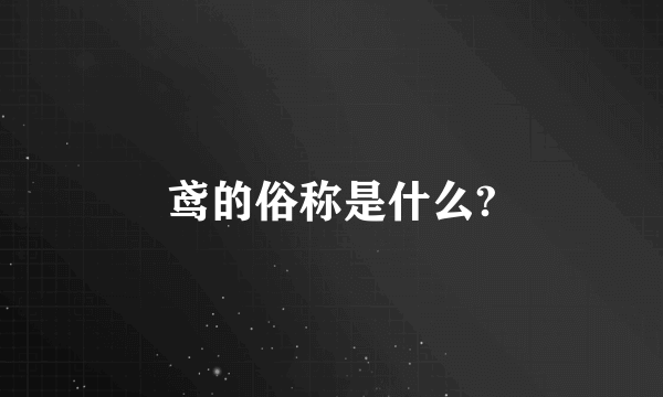 鸢的俗称是什么?