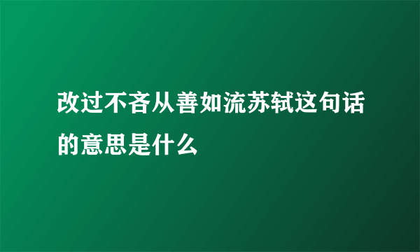 改过不吝从善如流苏轼这句话的意思是什么