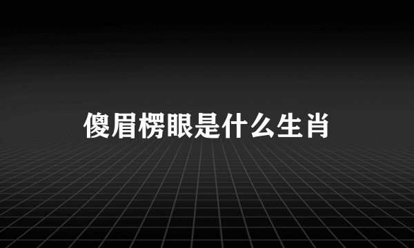 傻眉楞眼是什么生肖