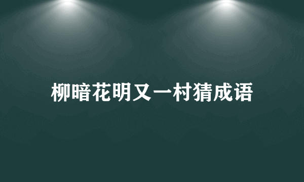 柳暗花明又一村猜成语