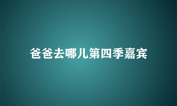 爸爸去哪儿第四季嘉宾