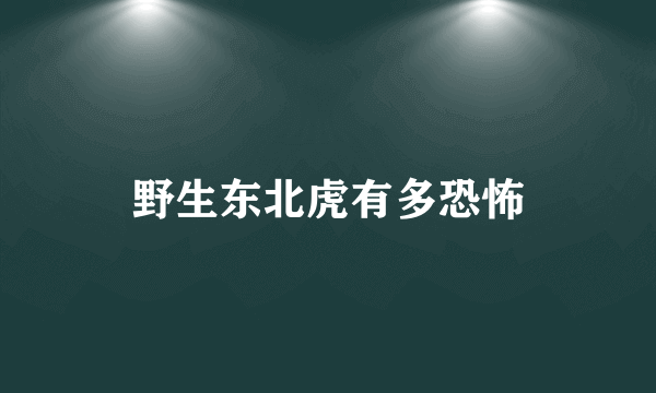 野生东北虎有多恐怖