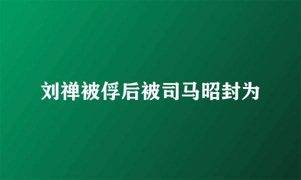 刘禅被俘后被司马昭封为