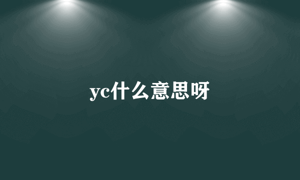 yc什么意思呀