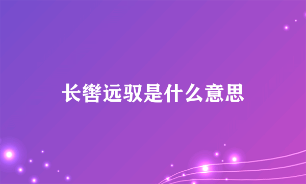 长辔远驭是什么意思