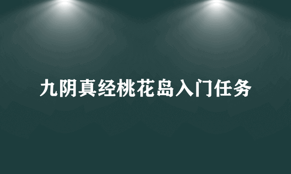 九阴真经桃花岛入门任务