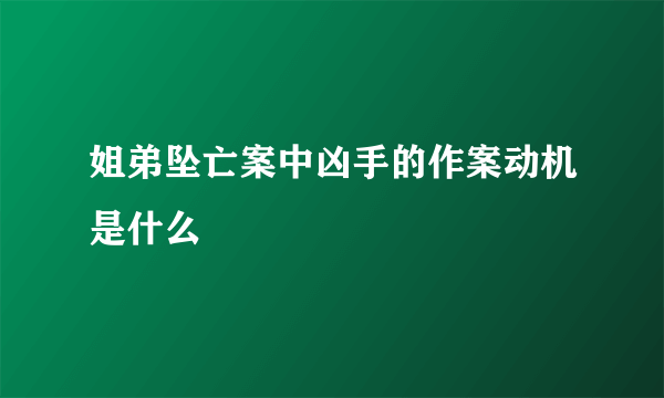 姐弟坠亡案中凶手的作案动机是什么