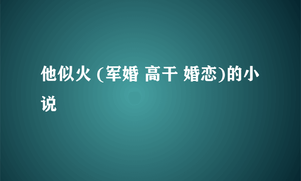 他似火 (军婚 高干 婚恋)的小说