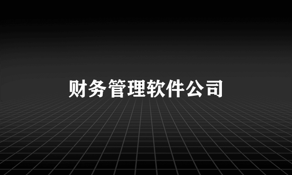 财务管理软件公司