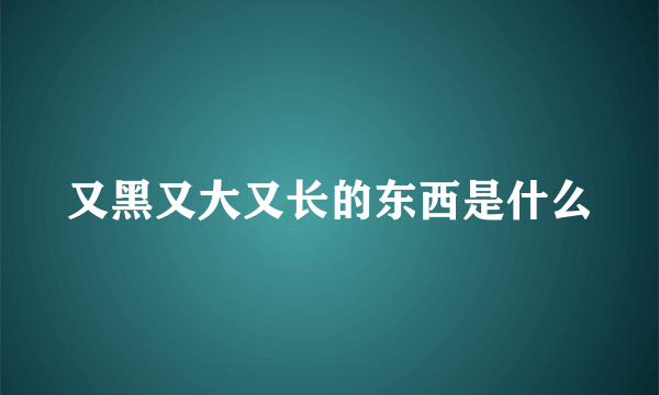 又黑又大又长的东西是什么