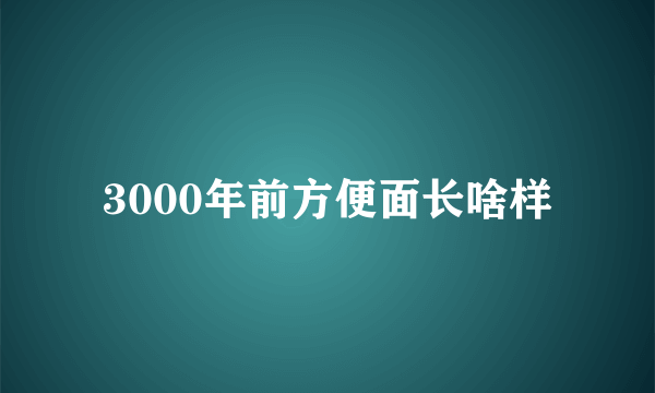 3000年前方便面长啥样