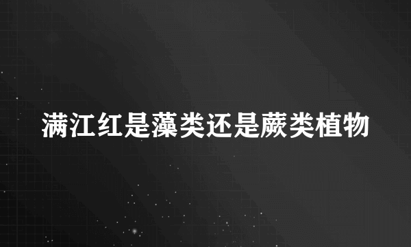 满江红是藻类还是蕨类植物