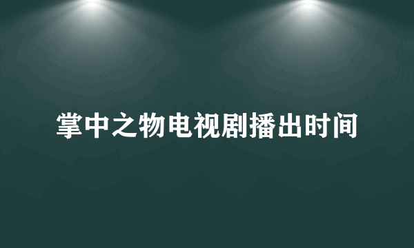 掌中之物电视剧播出时间