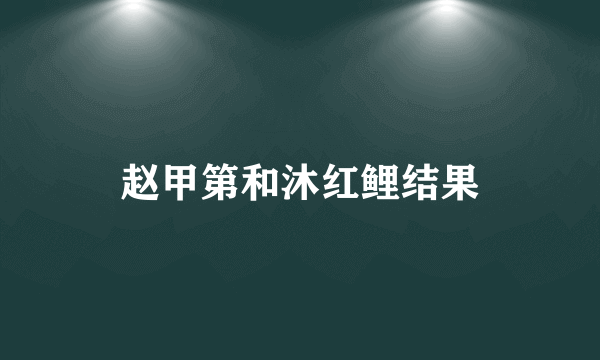 赵甲第和沐红鲤结果