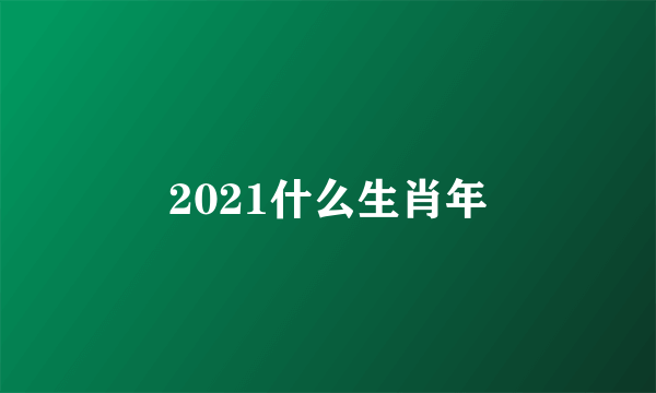 2021什么生肖年