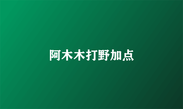 阿木木打野加点