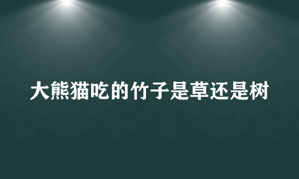 大熊猫吃的竹子是草还是树