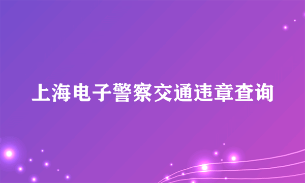 上海电子警察交通违章查询