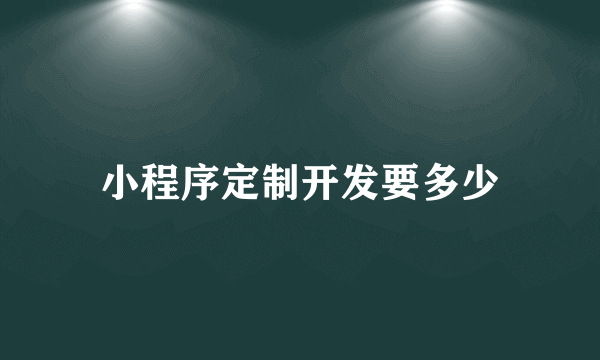 小程序定制开发要多少