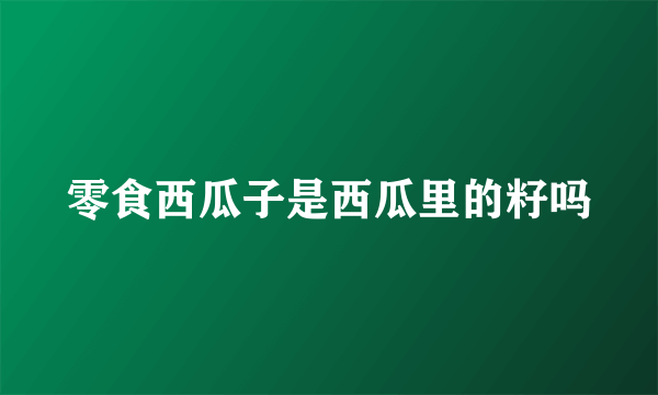 零食西瓜子是西瓜里的籽吗