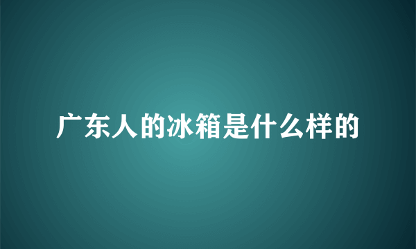 广东人的冰箱是什么样的