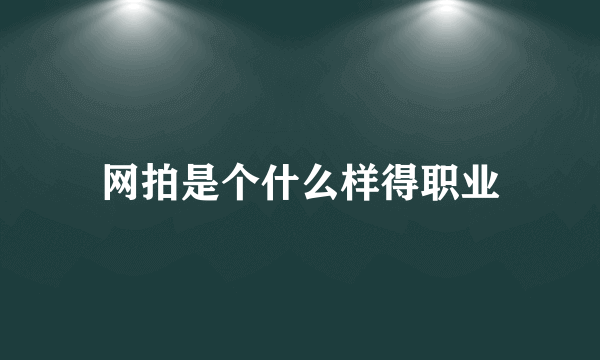 网拍是个什么样得职业