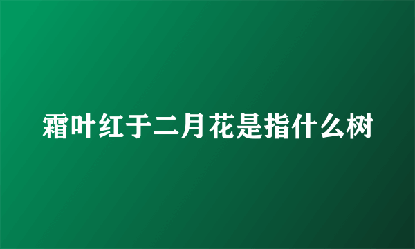 霜叶红于二月花是指什么树