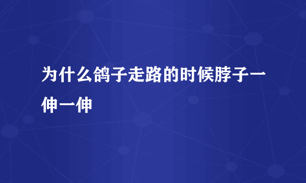 为什么鸽子走路的时候脖子一伸一伸