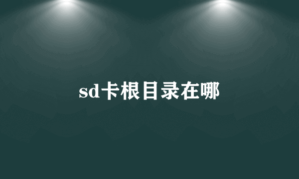 sd卡根目录在哪