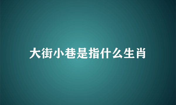 大街小巷是指什么生肖