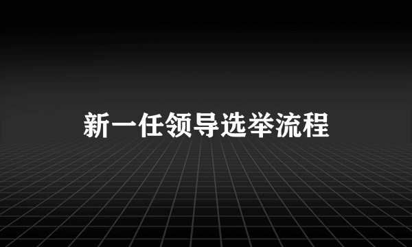 新一任领导选举流程